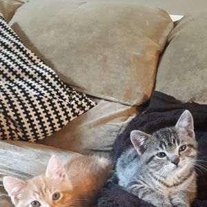 Meet your Posher, Robyn